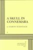 A_skull_in_Connemara