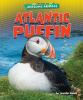 Atlantic_puffin