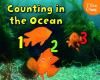 Counting_in_the_ocean
