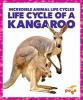 Life_cycle_of_a_kangaroo