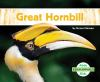 Great_hornbill