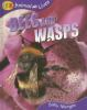 Bees_and_wasps
