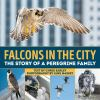 Falcons_in_the_city