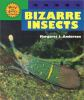 Bizarre_insects