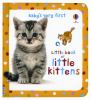Little_book_of_little_kittens