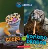 Gecko_or_komodo_dragon