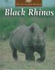 Black_rhinos