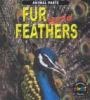 Fur_and_feathers