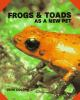 Frogs_and_toads_as_a_new_pet