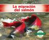 La_migraci__n_del_salm__n