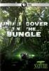 Undercover_in_the_jungle