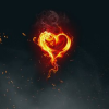 Heart_in_Fire