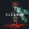 Cleanse
