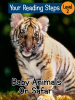 Baby_Animals_On_Safari
