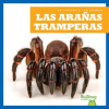 Las_ara__as_tramperas__Trapdoor_Spiders_