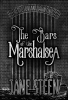 The_Bars_of_the_Marshalsea