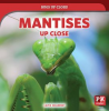 Mantises_Up_Close