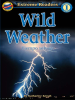 Wild_Weather_Tiempo_salvaje