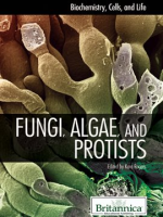 Fungi__Algae__and_Protists