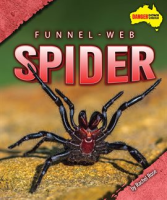 Funnel-Web_Spider