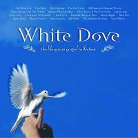 White_dove