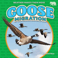Goose_Migration