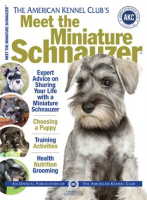 Meet_the_Miniature_Schnauzer