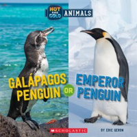 Galapagos_Penguin_or_Emperor_Penguin