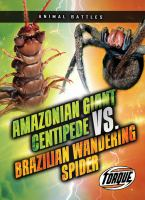 Amazonian_giant_centipede_vs__Brazilian_wandering_spider