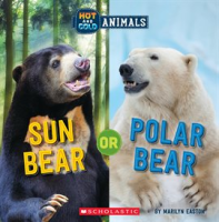 Sun_Bear_or_Polar_Bear