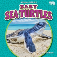 Baby_Sea_Turtles