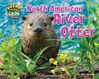 North_American_river_otter