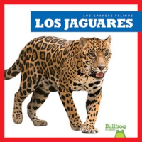 Los_jaguares__Jaguars_