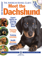 Meet_the_Dachshund