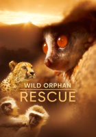 Wild_Orphan_Rescue_-_Season_1