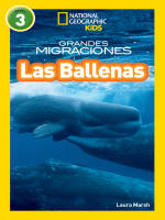 Grandes_Migraciones__Las_Ballenas__Great_Migrations__Whales_